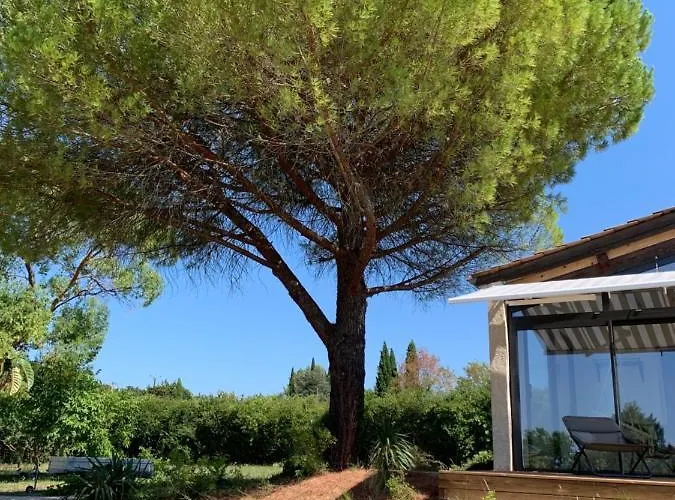 Maison L'eucalyptus בית נופש